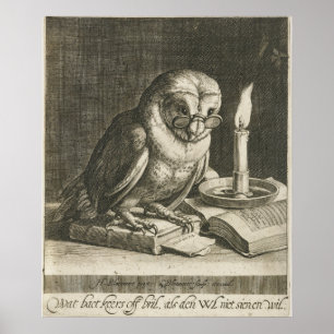 Illustration einer Vintage-Eule Poster