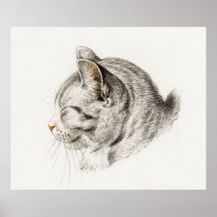 Illustration einer Vintage-Katze Poster