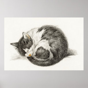 Illustration einer Vintage-Katze Poster