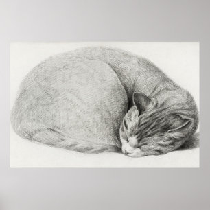 Illustration einer Vintage-Katze Poster