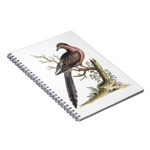 Illustration einer Vintage-Wandertaube Notizblock