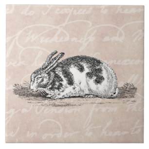 Illustration eines alten Hasen - Hasen aus dem 19. Fliese