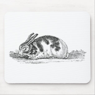 Illustration eines alten Hasen - Hasen aus dem 19. Mousepad