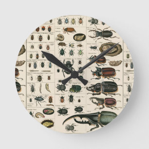 Illustration eines alten Käfers Runde Wanduhr
