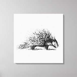 Illustration eines alten Stachelschweins - Stachel Leinwanddruck