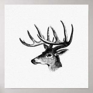 Illustration eines antiken Hirsches Poster