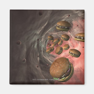 Illustration eines Blutgefäßes mit Burgern Magnet