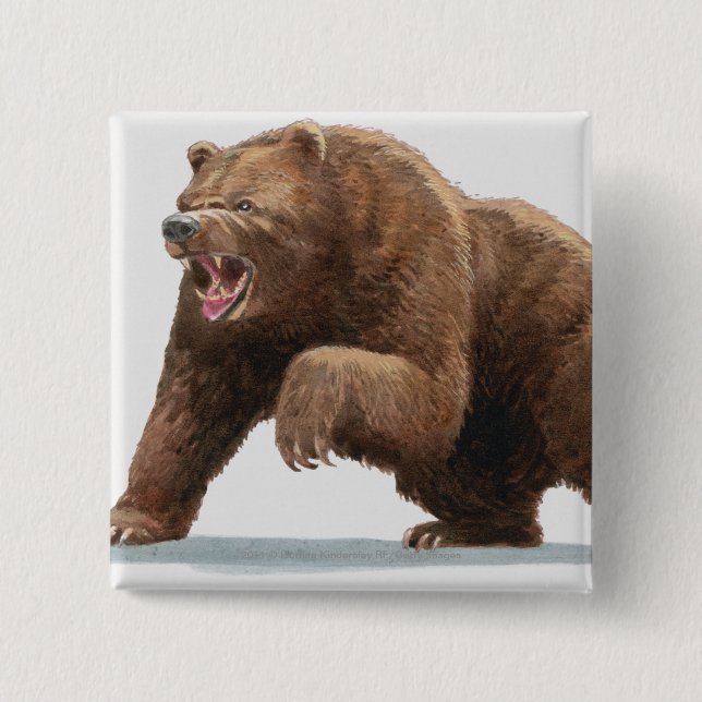 Illustration eines Braunbären Button (Vorderseite)