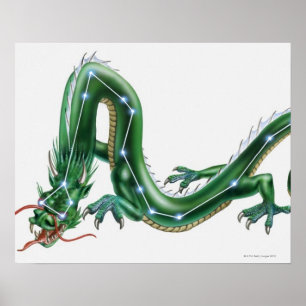 Illustration eines Drachen mit dem Drachen (Draco) Poster