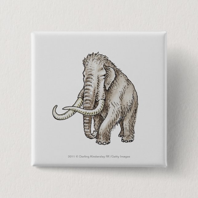 Illustration eines Mammuts Button (Vorderseite)