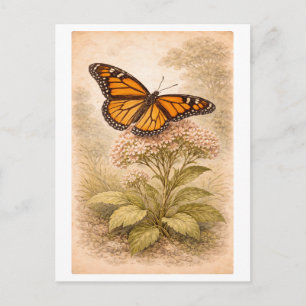 Illustration eines Monarchfalters im Vintage-Stil Postkarte