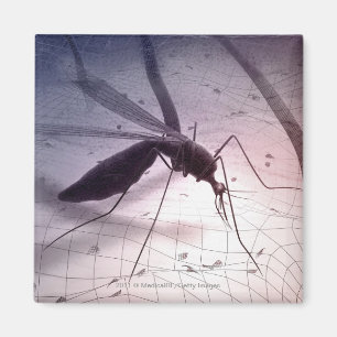 Illustration eines Moskitos, das beißt Magnet