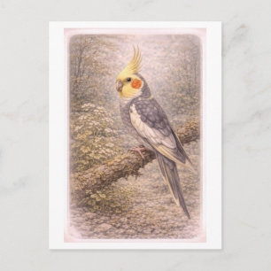 Illustration eines Nymphensittichs im Vintage-Stil Postkarte