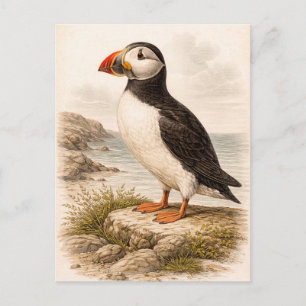 Illustration eines Papageientauchers im Vintage-St Postkarte