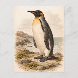 Illustration eines Pinguins im Vintage-Stil Postkarte