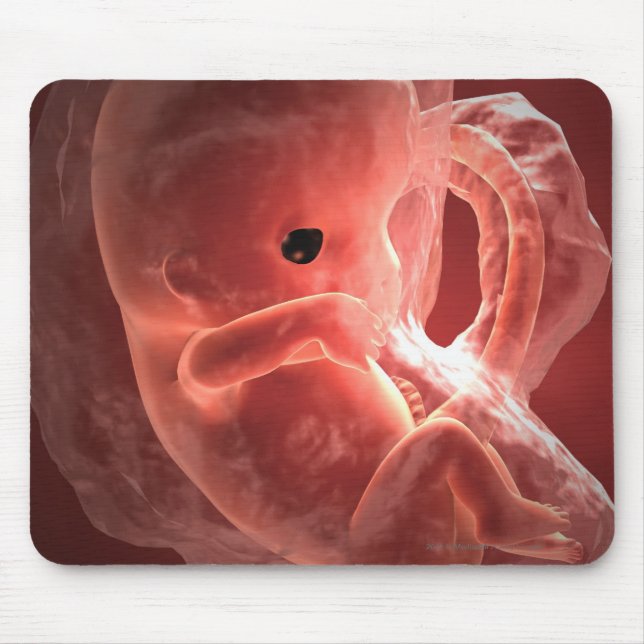 Illustration eines sich entwickelnden Embryos Mousepad (Vorne)