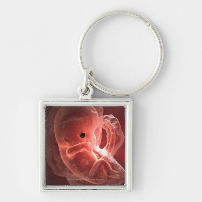 Illustration eines sich entwickelnden Embryos Schlüsselanhänger (Vorne)