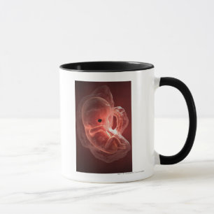 Illustration eines sich entwickelnden Embryos Tasse