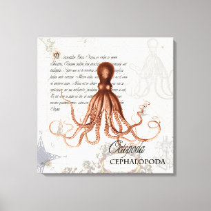 Illustration eines Vintage roten Oktopus auf nauti Leinwanddruck