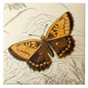 Illustration eines Vintage-Schmetterlings, Gold un Fliese