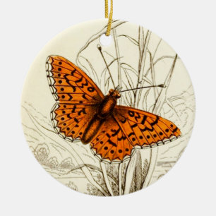 Illustration eines Vintage-Schmetterlings, Orange Keramik Ornament