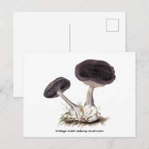 Illustration eines violetten Schleierlings im Vint Postkarte
