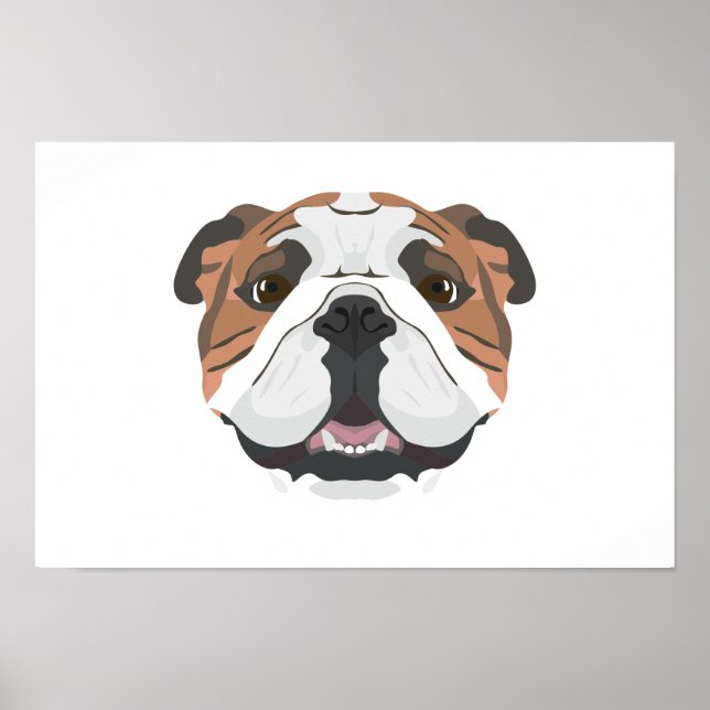 Illustration English Bulldog Poster (Vorne)