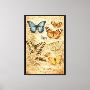 Illustration exotischer Schmetterlinge im Vintage- Leinwanddruck
