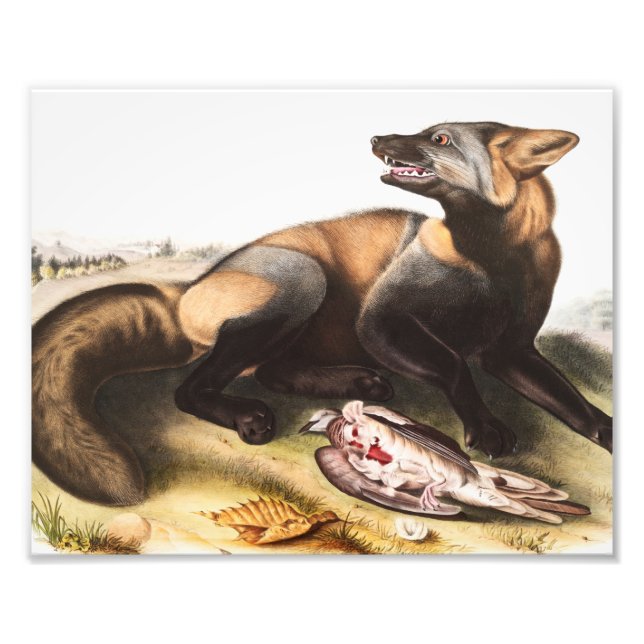 Illustration Fotodruck (Vorne)