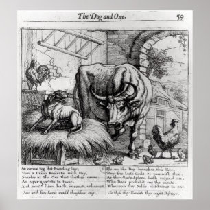 Illustration für 'den Hund und das Ox Poster