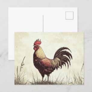 Illustration Hahn im Vintage-Look Postkarte
