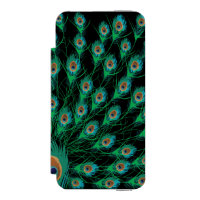 Illustration mit Pfau-Federn auf Schwarzem