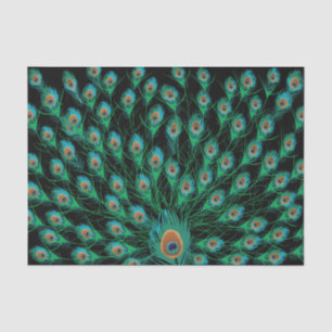 Illustration mit Pfau-Federn auf Schwarzem Seidenpapier