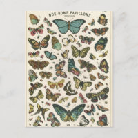 Illustration nos bons papillons