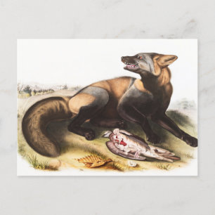 Illustration Postkarte