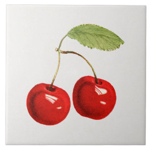 Illustration rote Kirsche Fliese