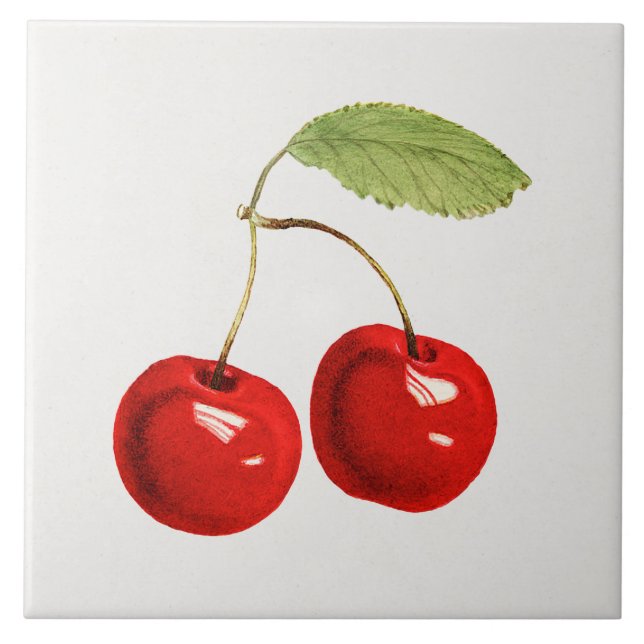 Illustration rote Kirsche Fliese (Vorderseite)