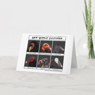 Illustration über neue Weltgeier Karte