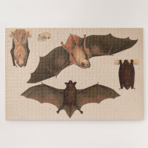 Illustration Vintag Flying Bat (1874) Puzzle