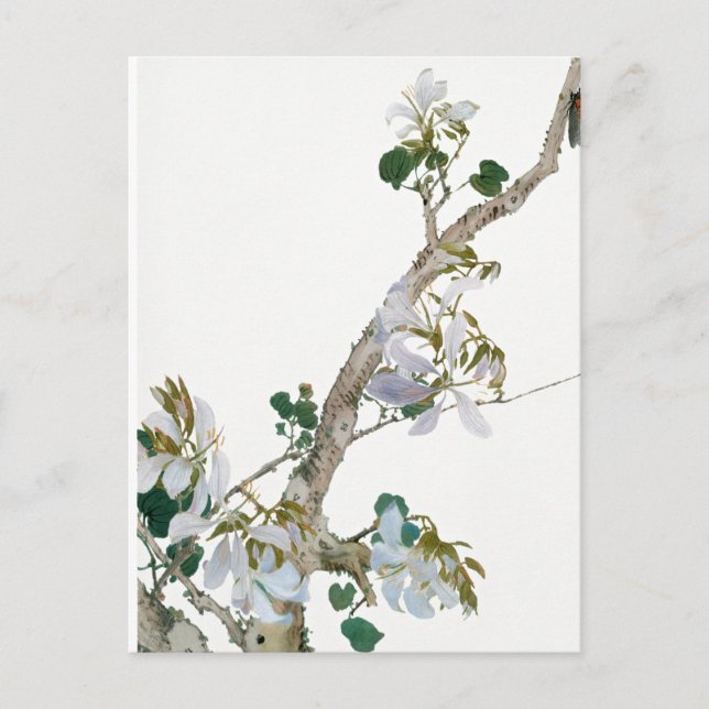 Illustration Vintager Blume Postkarte (Vorderseite)