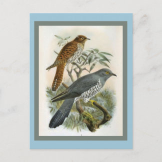 Illustration Vintager Kuckustrationen Postkarte