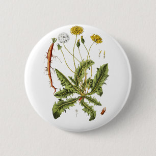 Illustration Vintager Löwenzahn Button