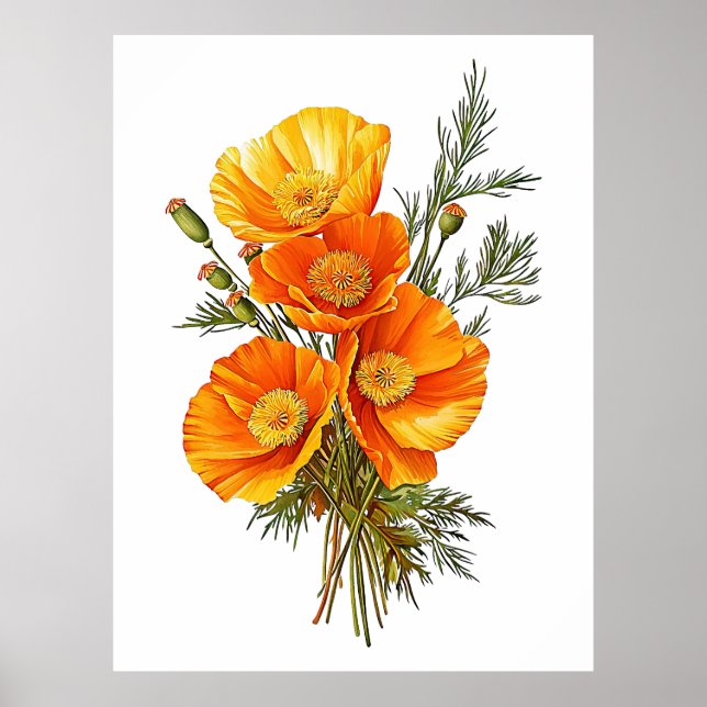 Illustration Vintager Poppies aus Kalifornien Poster (Vorne)