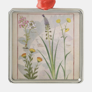 Illustration vom 'Buch der einfachen Medizin Silbernes Ornament
