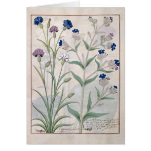 Illustration vom "Buch einfacher Medizin" 3