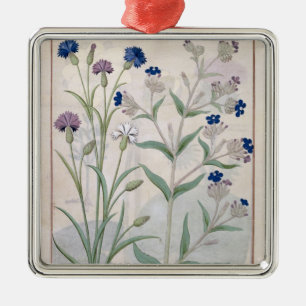 Illustration vom "Buch einfacher Medizin" 3 Silbernes Ornament