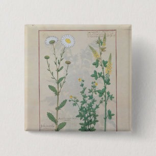 Illustration 'vom Buch von einfachem Button