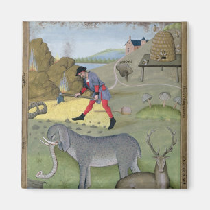 Illustration vom 'Buch von einfachem Magnet