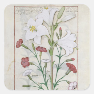 Illustration vom 'Buch von einfachem Quadratischer Aufkleber