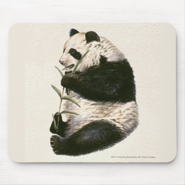 Illustration von auf Bambus fütternd Riesenpanda Mousepad (Vorne)